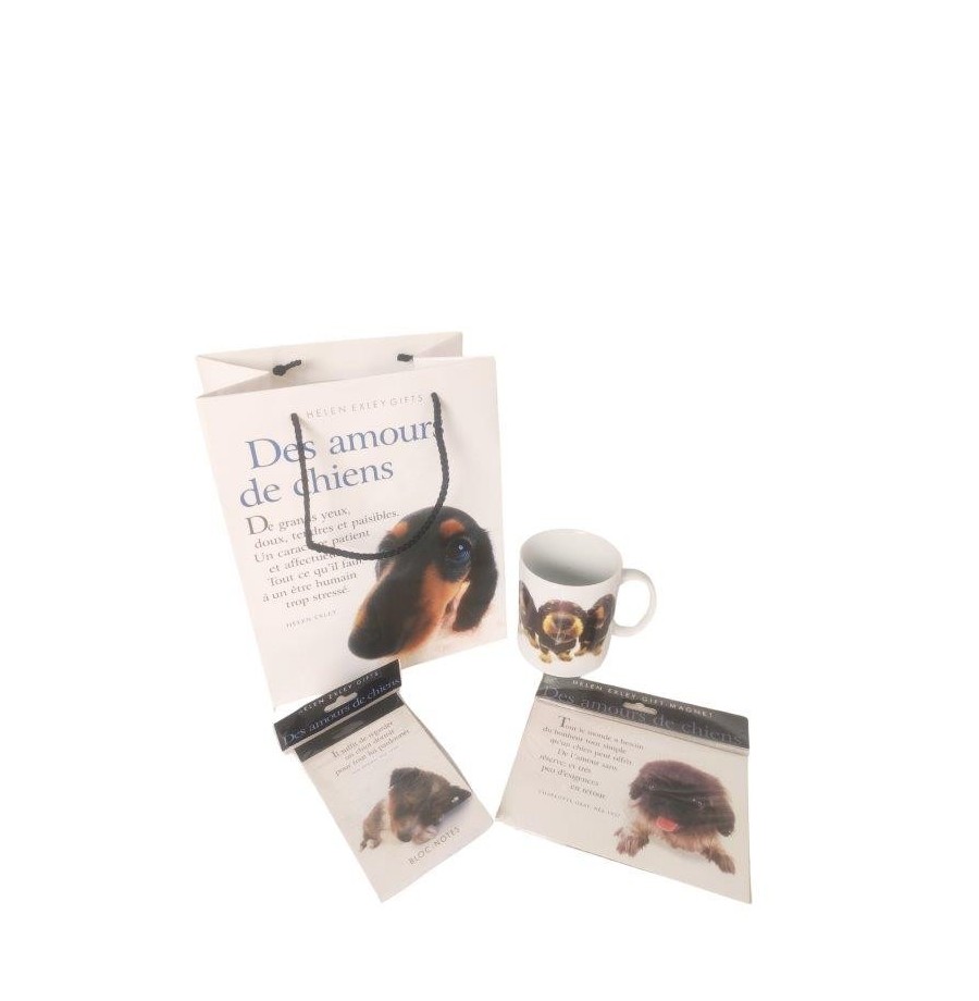 copy of 